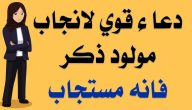 ادعية للحمل بولد مكتوبة.. دعاء الأنبياء لانجاب الذكور