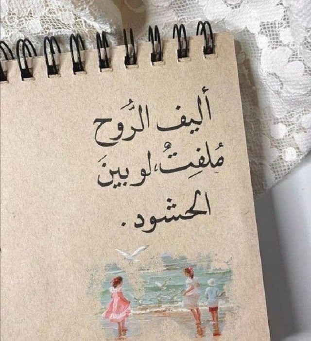 عبارات جميلة جدا